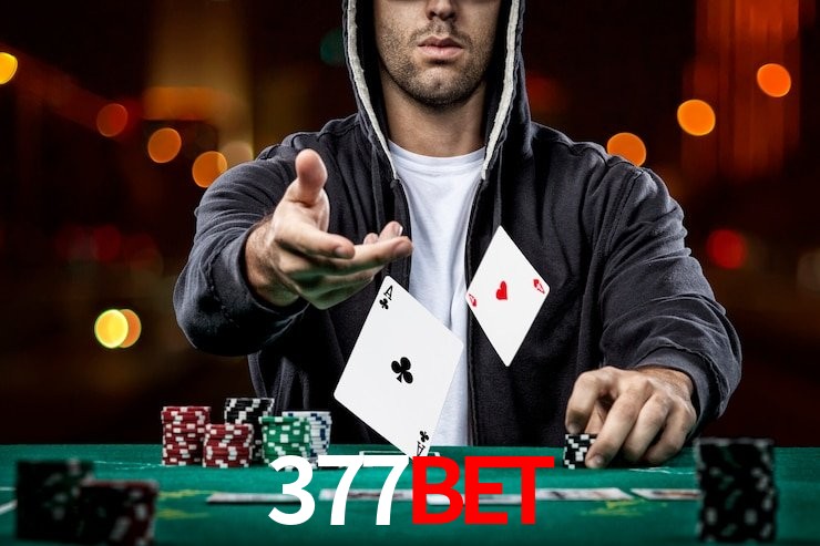 377bet,377bet app
